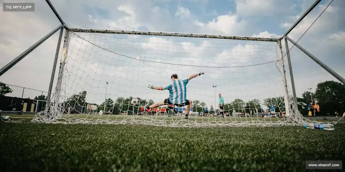 为什么选择我们